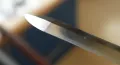 Close-up of the bright-polished spear point, showing the central ridgeline