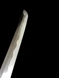 A second section of the blade in polish