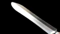 The polished blade catching the light along its length