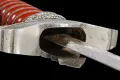 The underside of the crossguard, showing how the blade seats into the hilt