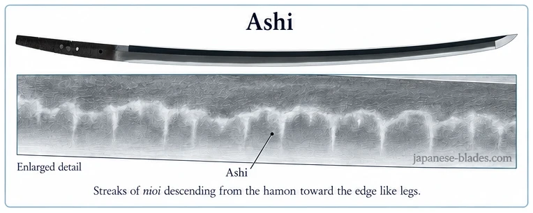 Ashi — example