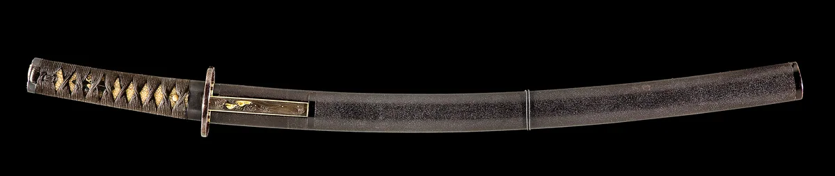 Wakizashi — example